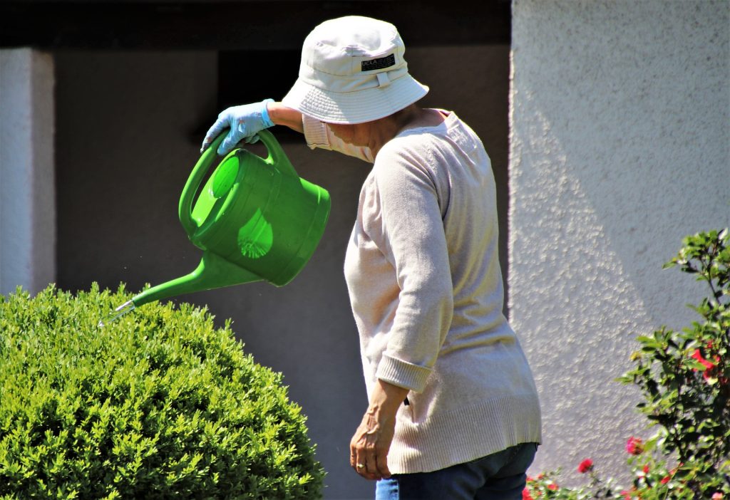 older person tending the garden